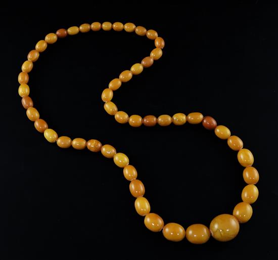 A single strand graduated oval amber bead necklace, gross weight 104 grams, 86cm.